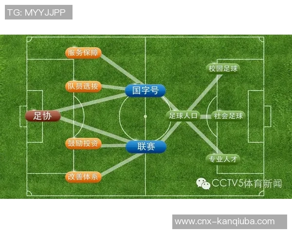 非洲足球的崛起与发展探讨以及对全球足球格局的影响分析 非洲足球的崛起与发展探讨以及对全球足球格局的影响分析